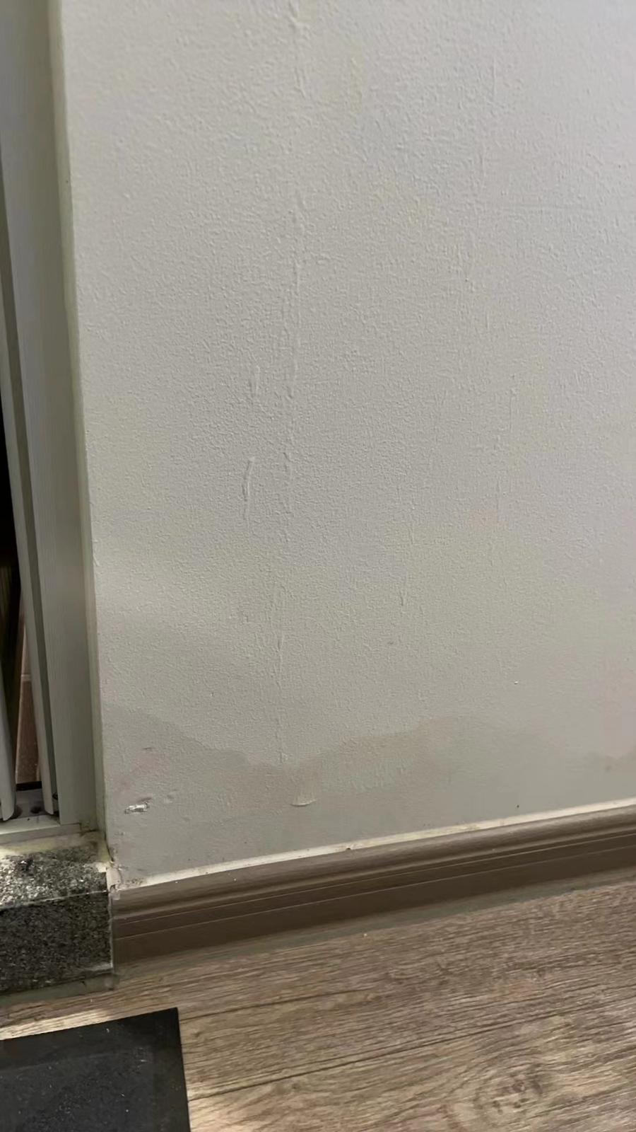 「啟德‧東寓」項目曾有約60戶單位內牆身滲水,約40戶曾有部分水管滲漏(九龍城區議員林博提供)