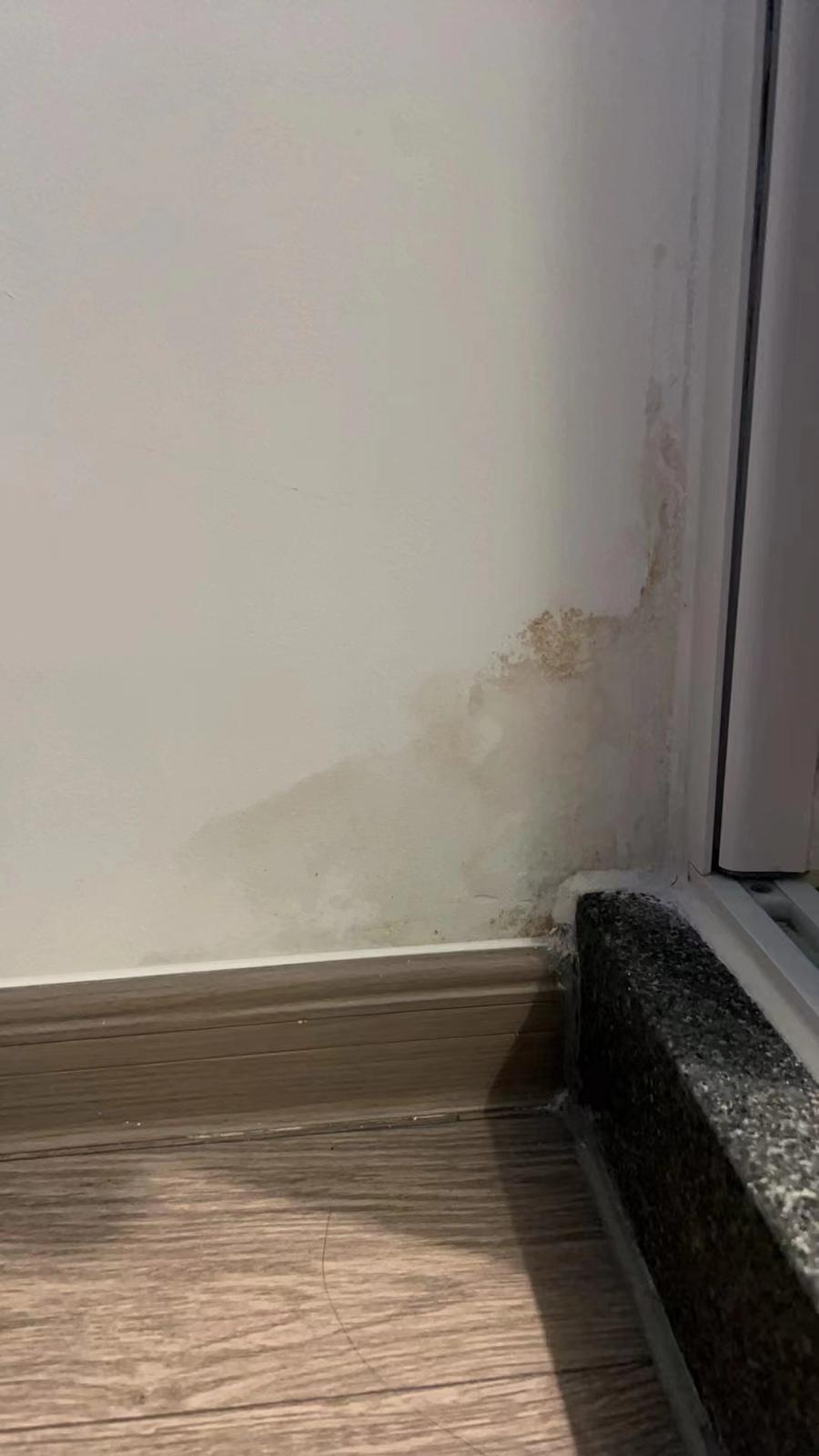 「啟德‧東寓」項目曾有約60戶單位內牆身滲水,約40戶曾有部分水管滲漏(九龍城區議員林博提供)