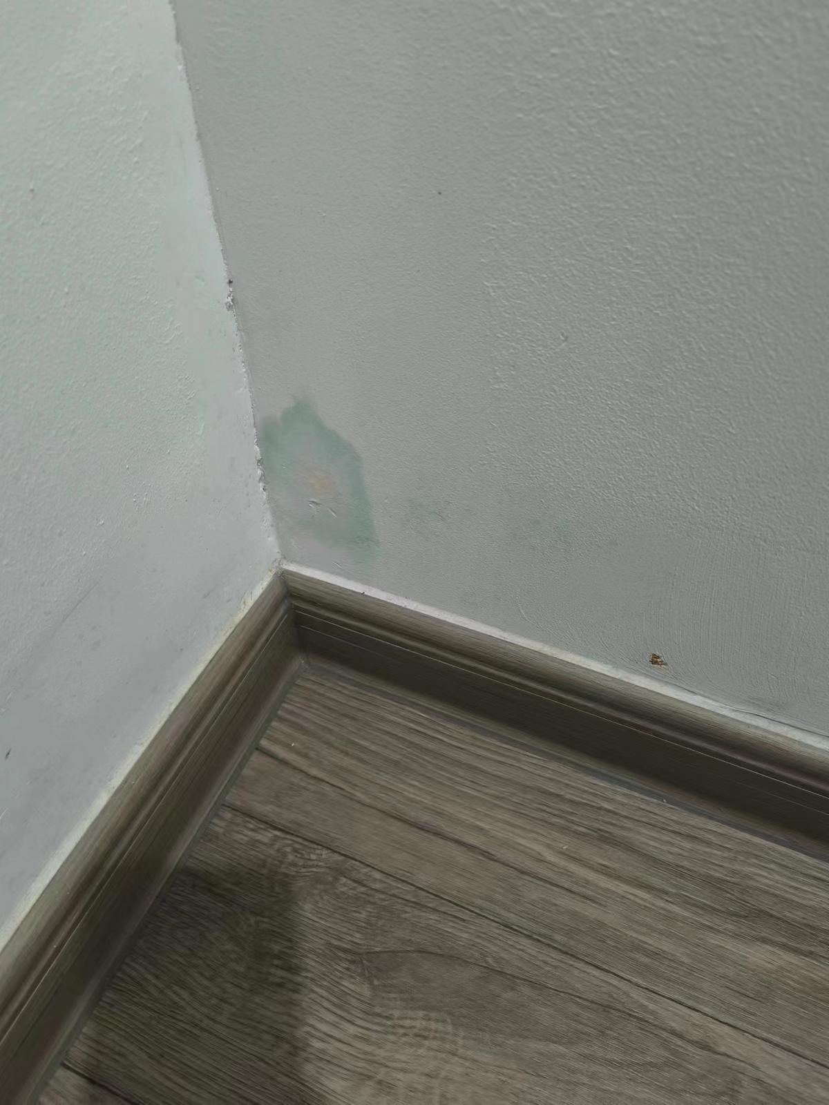 「啟德‧東寓」項目曾有約60戶單位內牆身滲水,約40戶曾有部分水管滲漏(九龍城區議員林博提供)