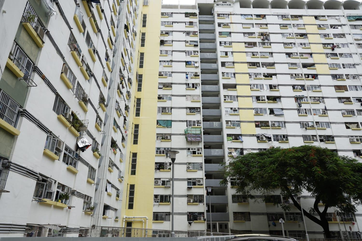 房協發現公屋戶擁有30幅新界農地。(林源俊攝/資料圖片)