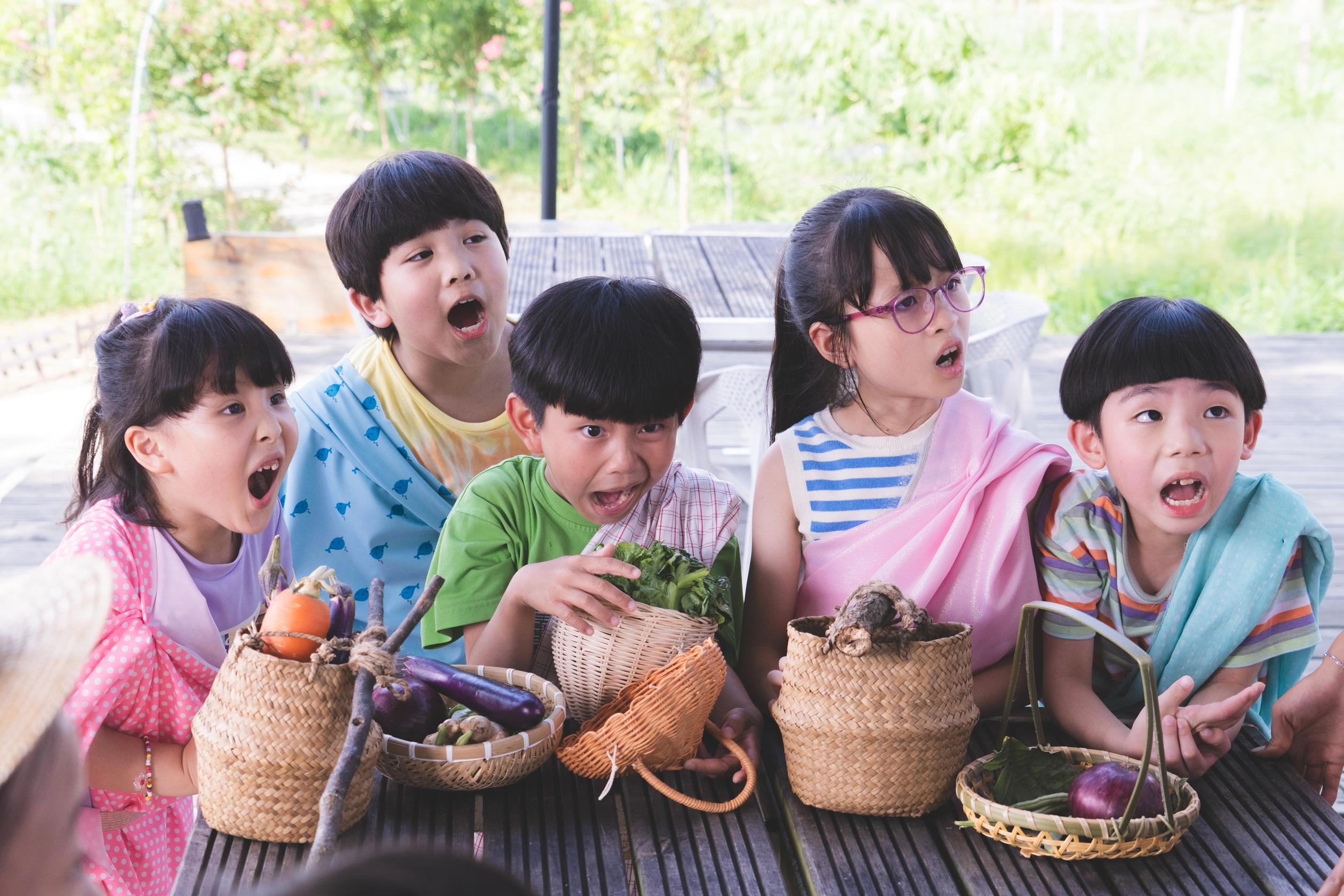 《反起跑線聯盟2》第11集講述一班小學生參加「戶外求生營」。