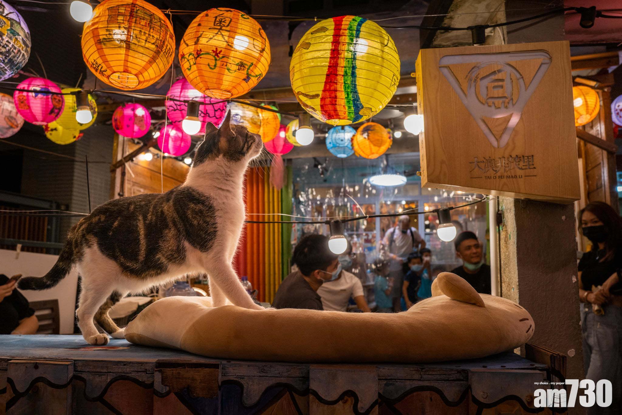 大澳水鄉花燈節