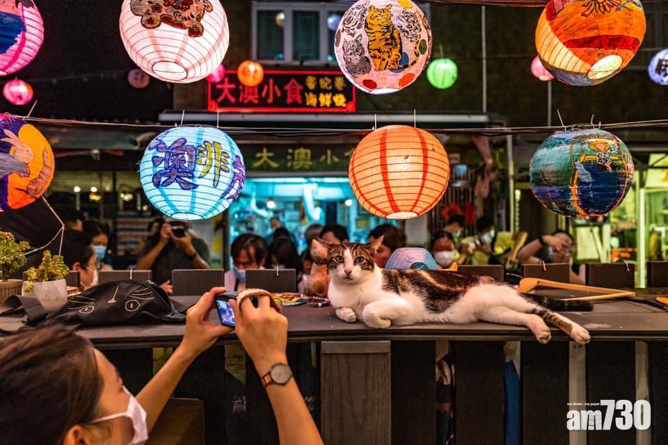 大澳水鄉花燈節