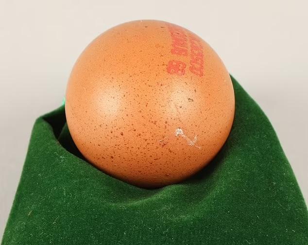 雞蛋