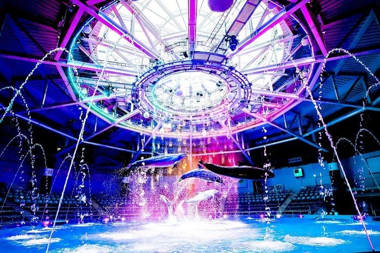 瑠璃花火-Digital Fireworks-