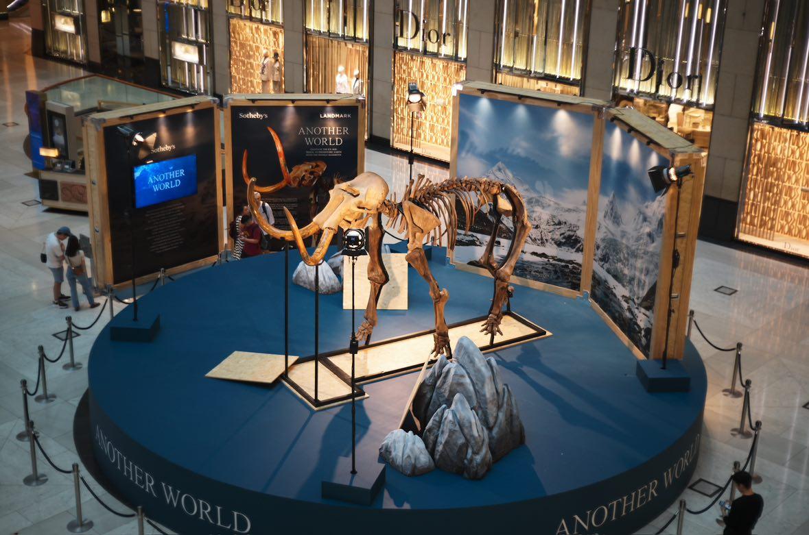 蘇富比與置地公司合作,首次展出一具12,000年前、高達3.5米的珍罕猛獁象化石標本。