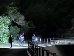 寶蓮寺職員後山棄狗 動物組織召集義工本周六搜山