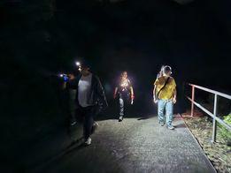 寶蓮寺職員後山棄狗 動物組織召集義工本周六搜山