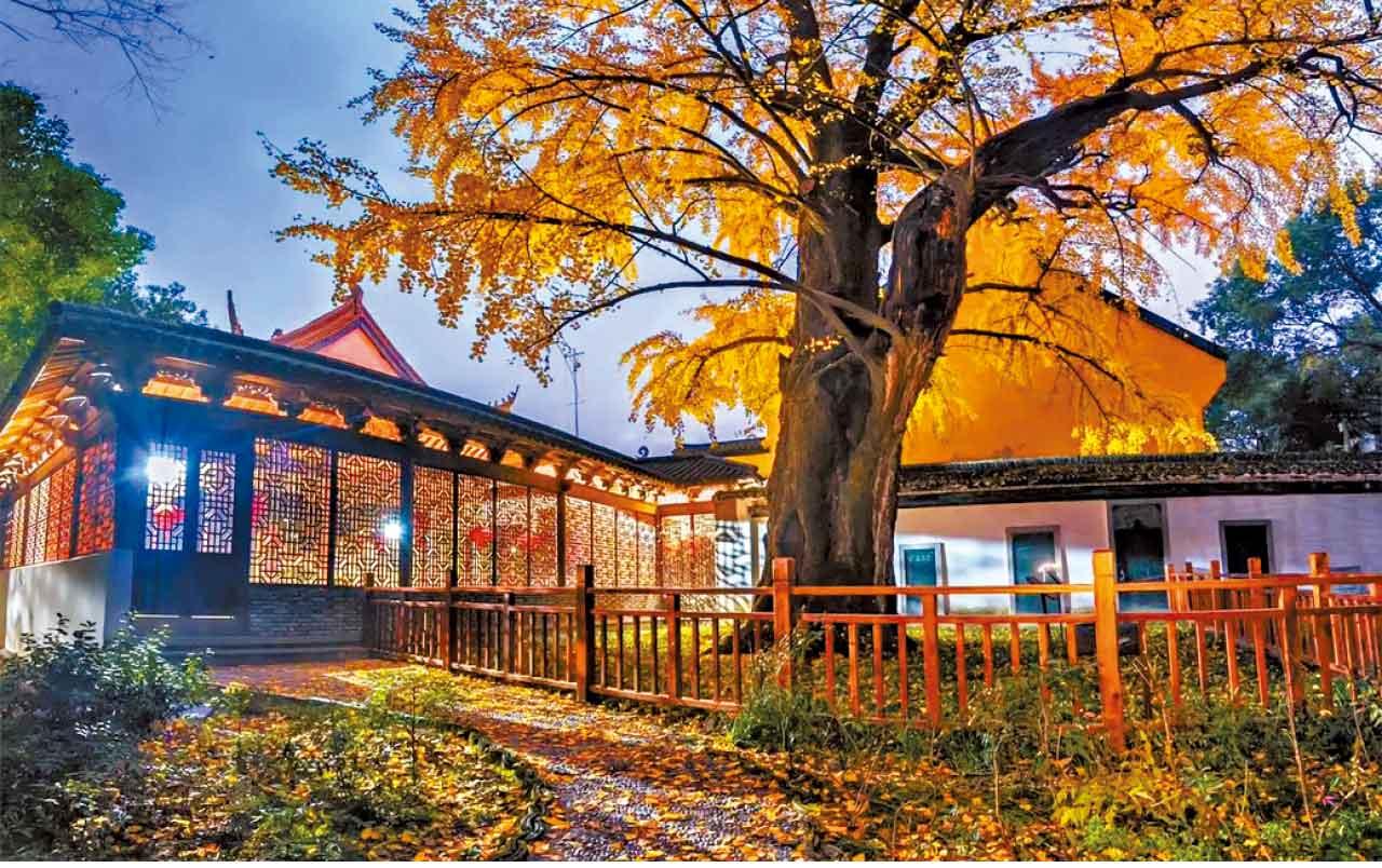 新華旅遊 精心安排觀潮賞月 品嘗「蟹」意濃濃大閘蟹