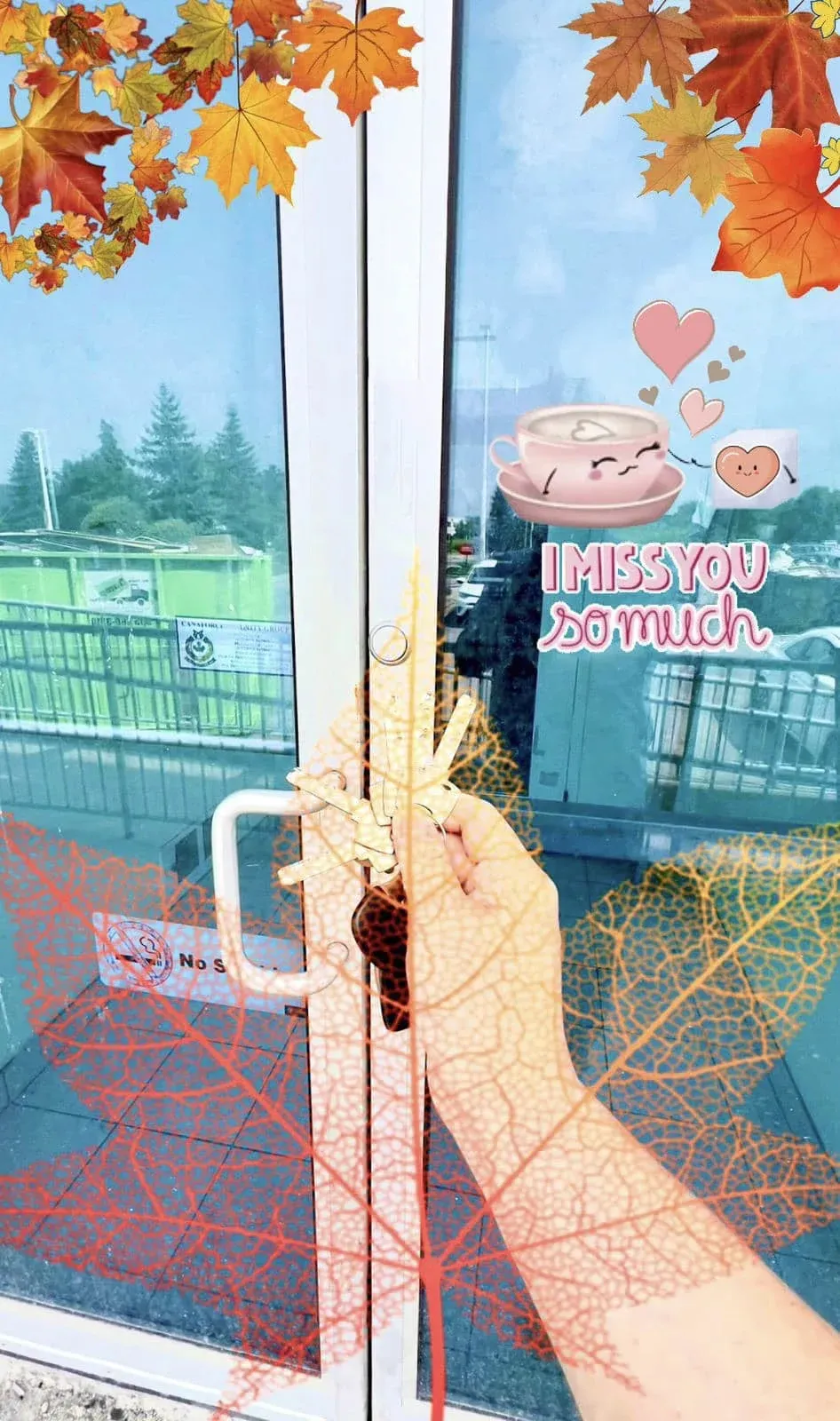 渣哥茶餐廳將於多倫多重開 網民一幅相睇出新鋪位置 譚小環渣哥異地再出發