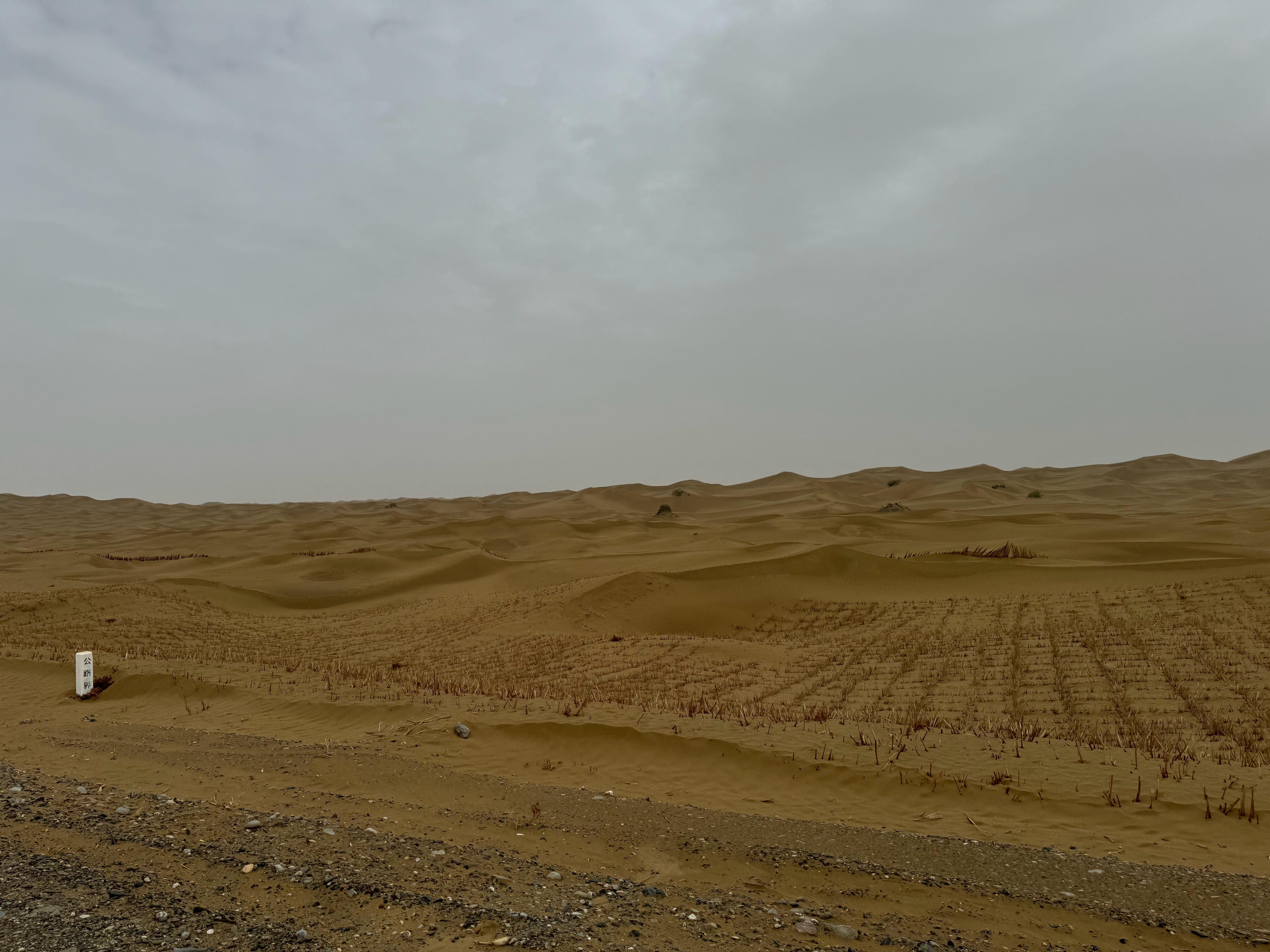 通常遊客印象中的新疆塔克拉瑪干沙漠是一片不毛之地。(圖/翻攝自微博)