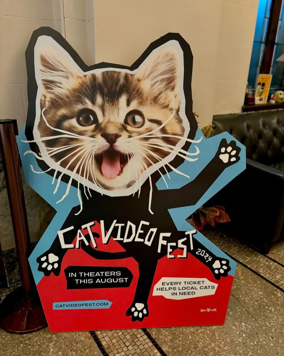 美國有貓貓片電影節入戲院專睇喵星人 負責人一年睇萬五條片揀蟀