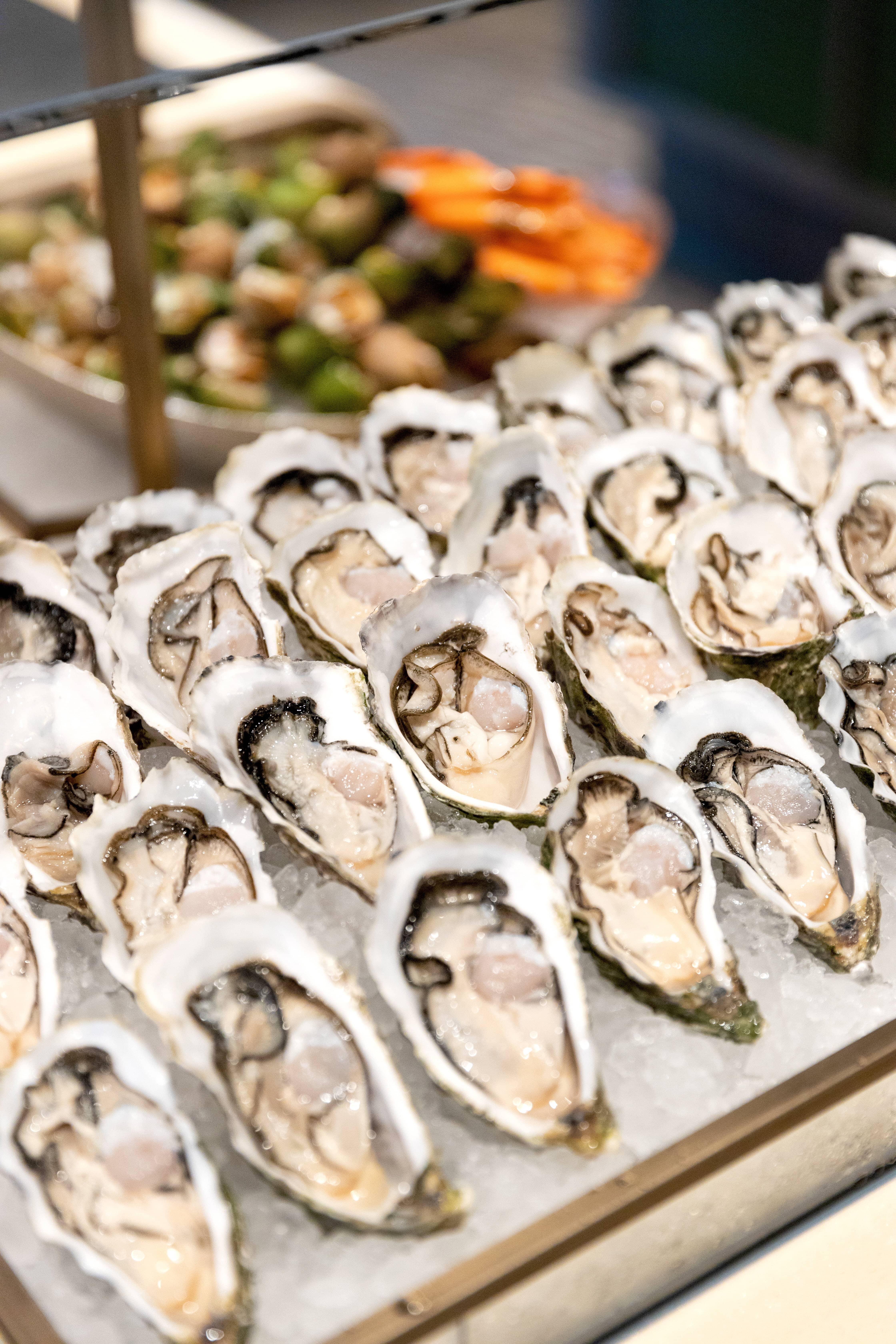 重新開幕首月特推任食法國生蠔。