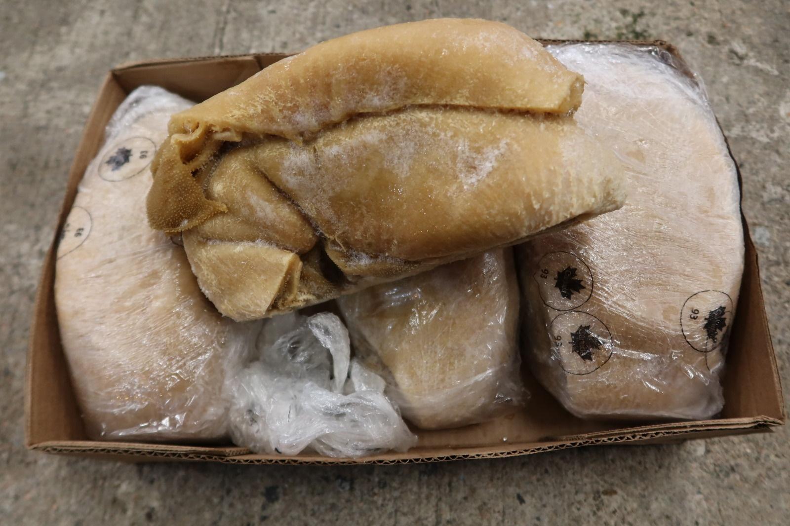 行動中檢獲32公噸走私牛內臟。