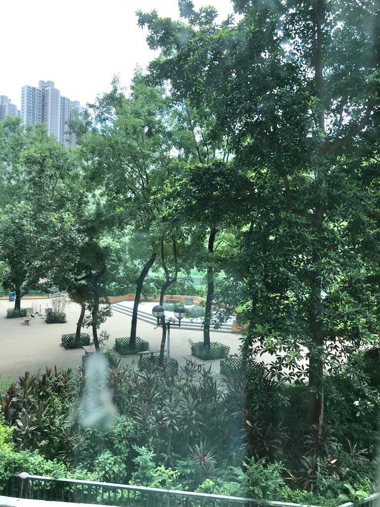單位雖屬低層,但外望翠綠清靜公園景,景觀不俗。(代理提供)
