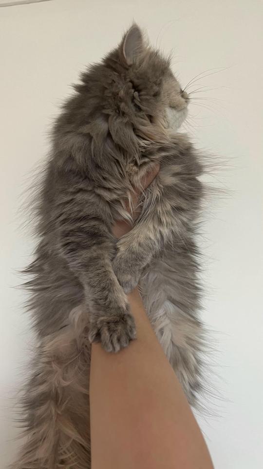 來源:LIHKG討論區