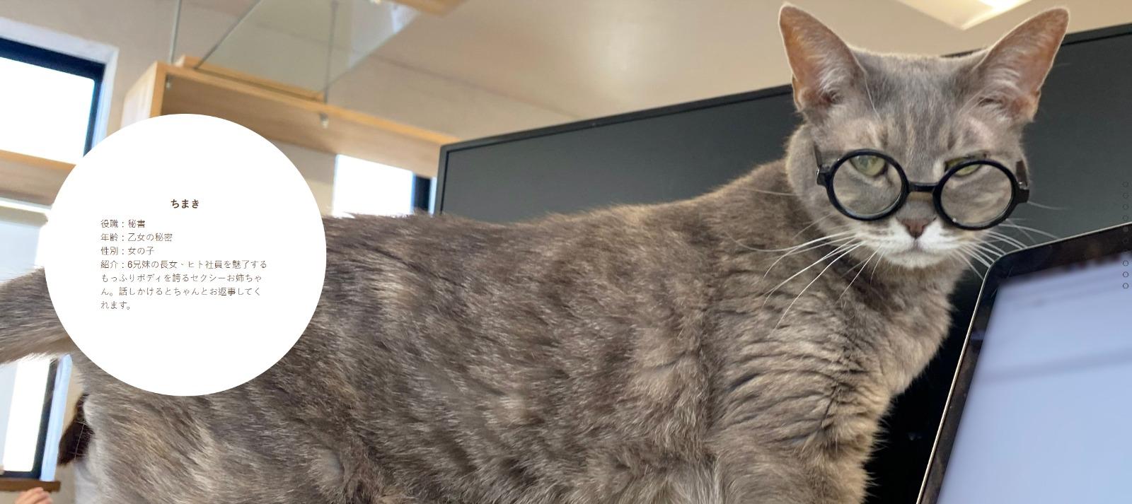 東京公司Qnote請11隻貓員工,ちまき任職秘書。