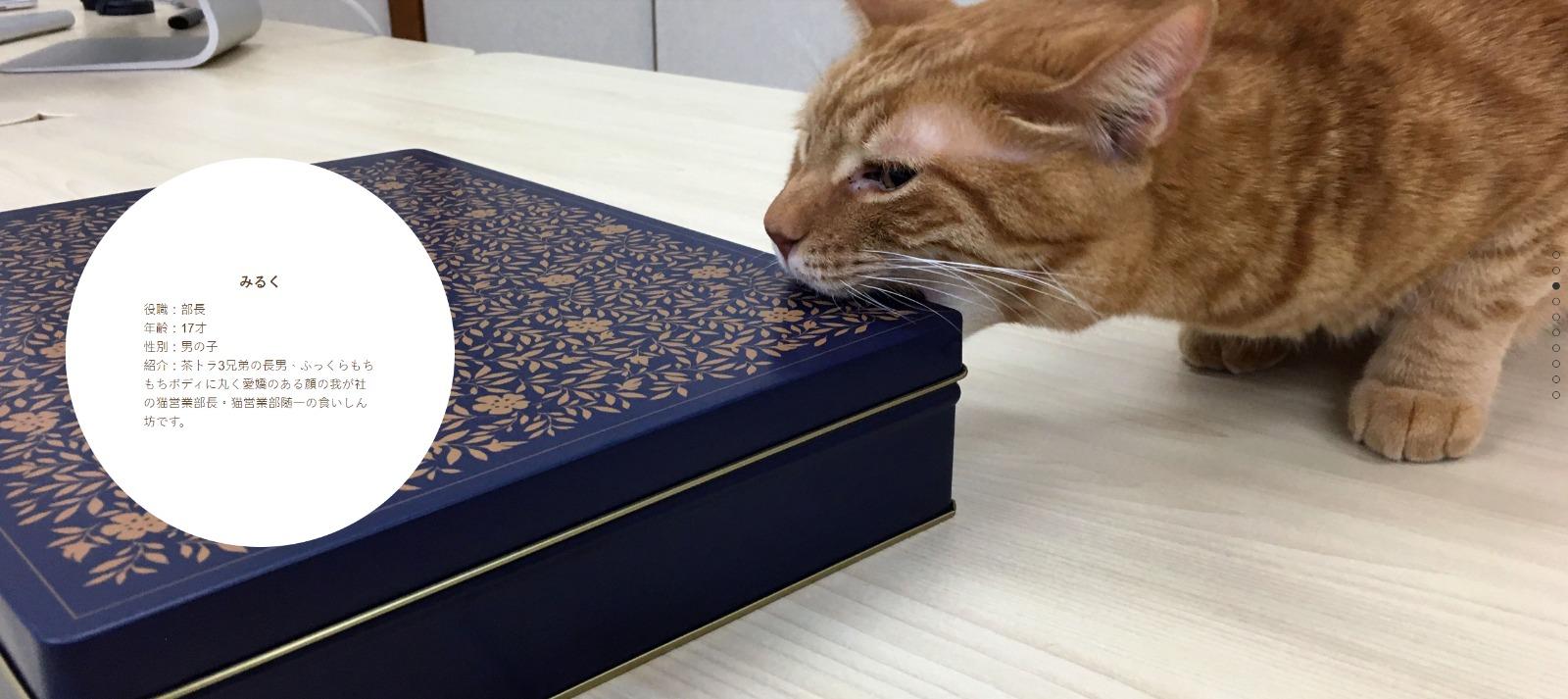 東京公司Qnote請11隻貓員工,みるく任職部長。