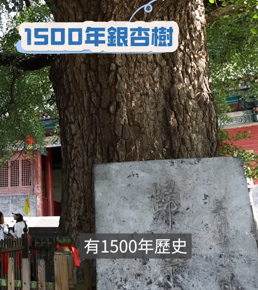 鄧炳強帶同一批青年領袖到訪嵩山少林寺,直言見識到少林僧人嘅功夫,又指少林精神與紀律部隊嘅精神一脈相承。(鄧炳強fb)