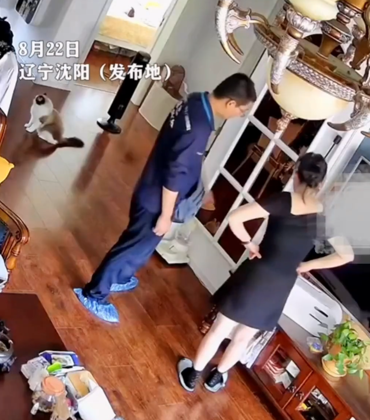 內地社交平台流傳一段家居監控影片,可見遼寧瀋陽一名網絡維修員上門檢查時,疑似趁女戶主未留意期間,公然偷窺其裙底,整個過程被監控「斷正」。