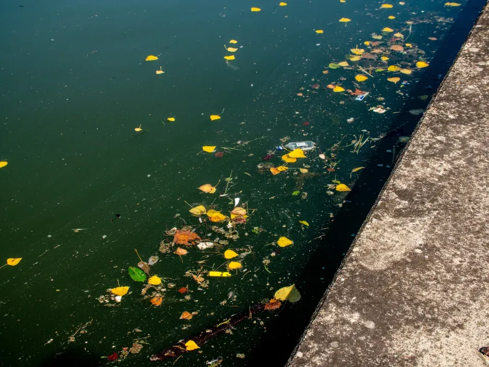 巴黎奧運|馬拉松游泳賽水質問題「未解決」 西班牙女將跳舞壯膽積極面對「恐懼」