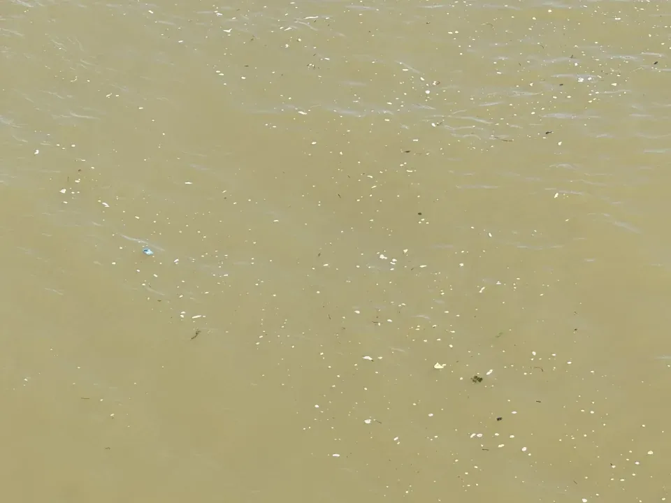 巴黎奧運|馬拉松游泳賽水質問題「未解決」 西班牙女將跳舞壯膽積極面對「恐懼」