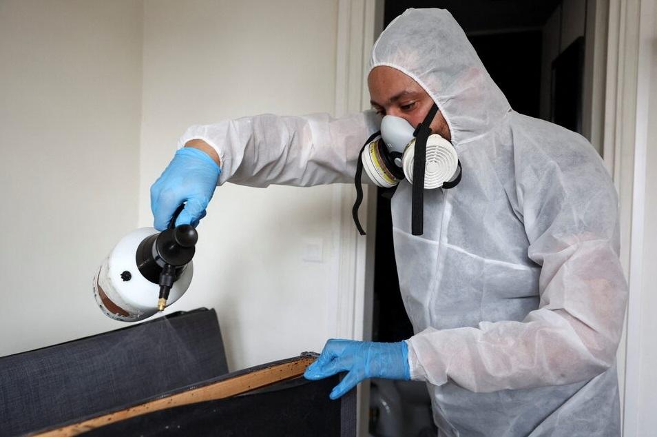 去年巴黎市郊拉伊萊羅斯(L'Hay-les-Roses)一間民宅的梳化發現床蝨,專人上門滅蟲。(資料圖片)