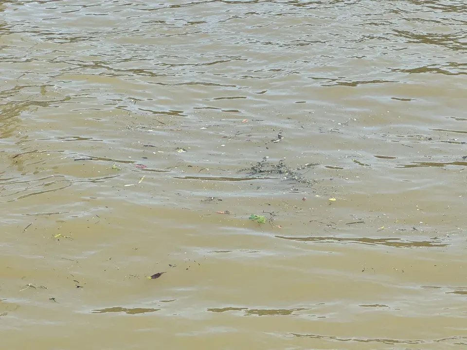 巴黎奧運|馬拉松游泳賽水質問題「未解決」 西班牙女將跳舞壯膽積極面對「恐懼」