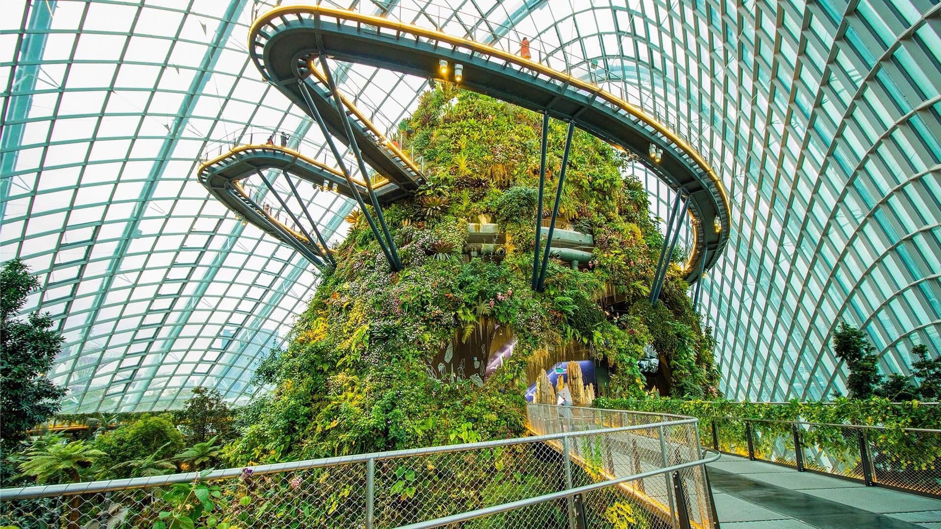 The Hidden Forest by Gardens by the Bay