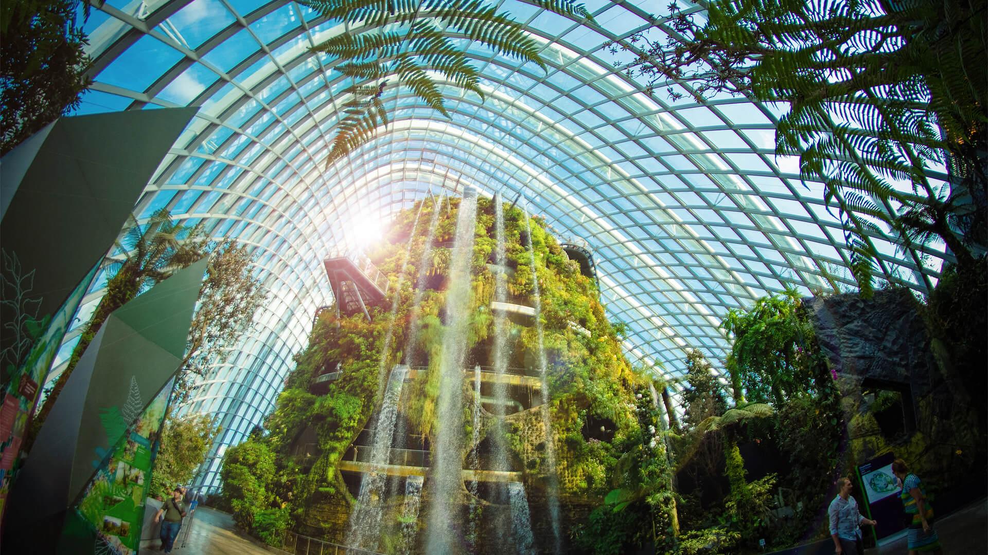 The Hidden Forest by Gardens by the Bay