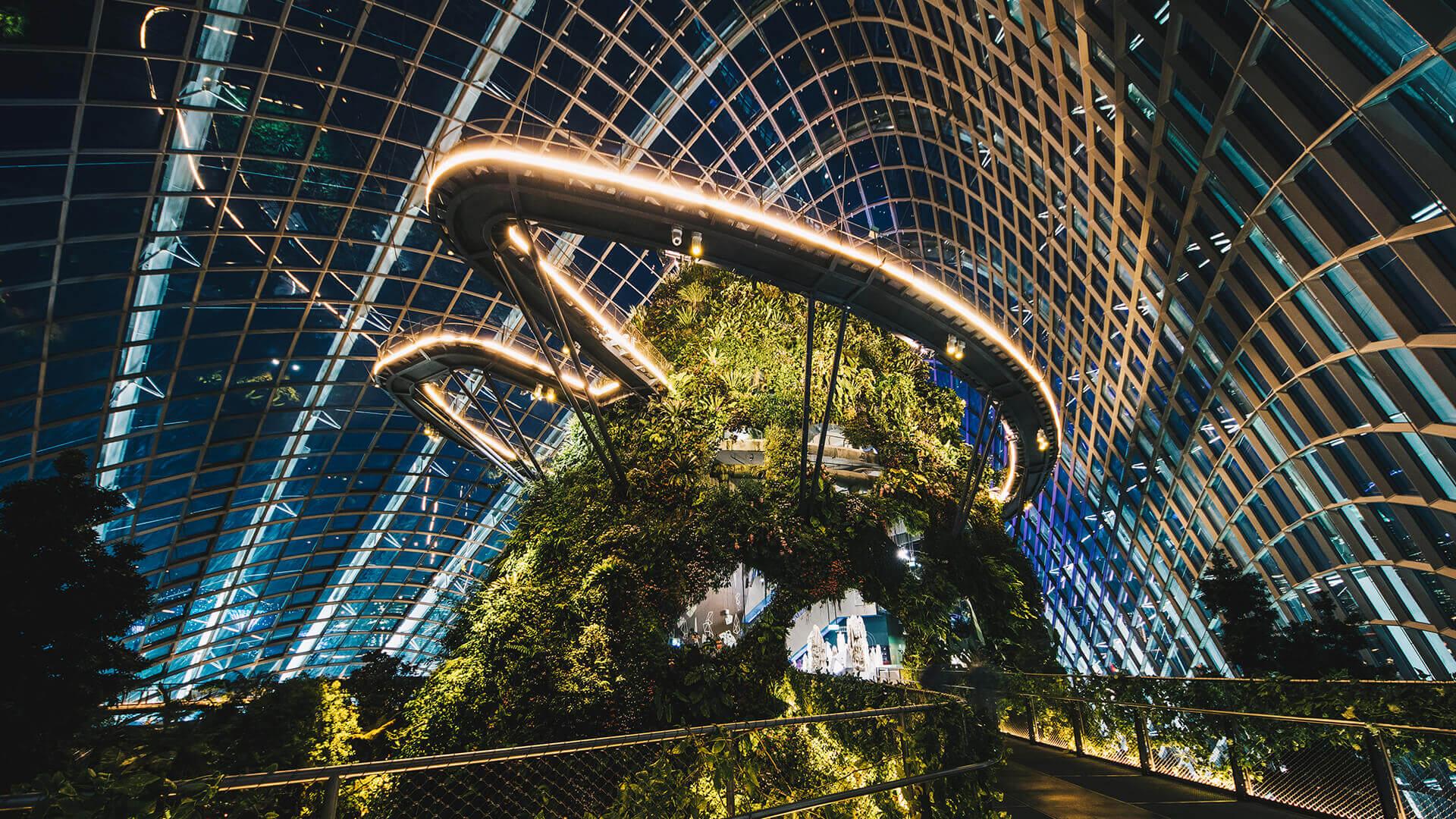 The Hidden Forest by Gardens by the Bay