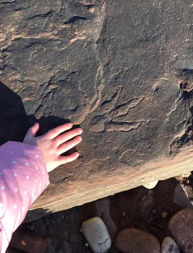 泰根在南威爾斯珀納斯(Penarth)附近海邊發現的2億年前恐龍腳印。(互聯網)