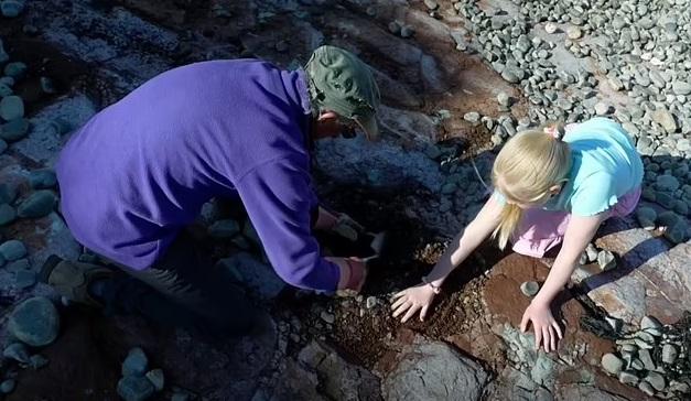 泰根與母親及古生物學家在南威爾斯珀納斯(Penarth)附近海邊尋找恐龍腳印。(互聯網)