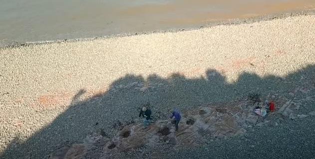 南威爾斯珀納斯(Penarth)附近海邊保存恐龍足跡。(互聯網)