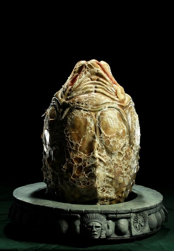 異形蛋的概念同樣是來自性器。