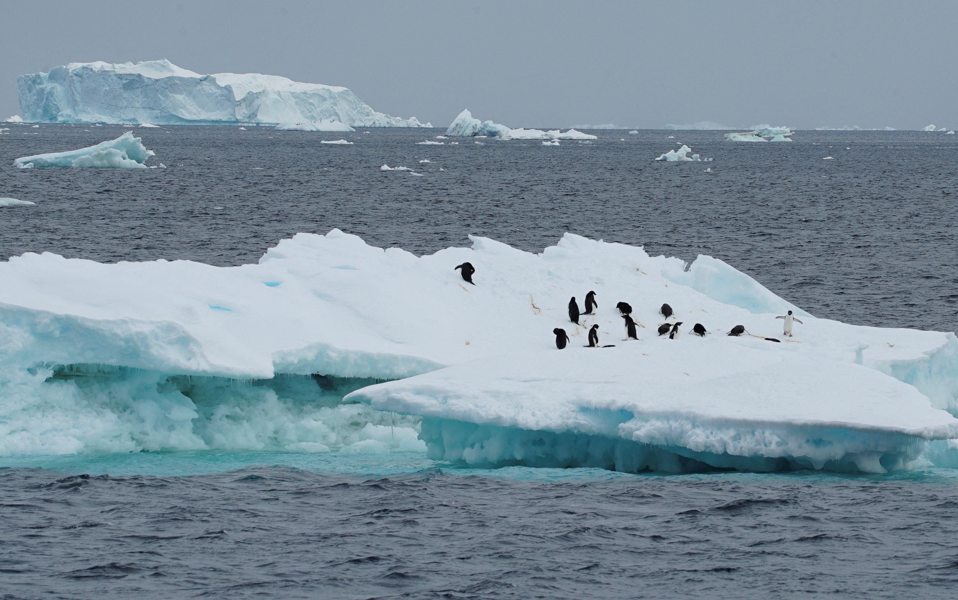 南極洲冰層。(資料圖片)