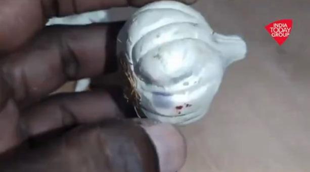 水泥蒜頭造型逼真。(互聯網)