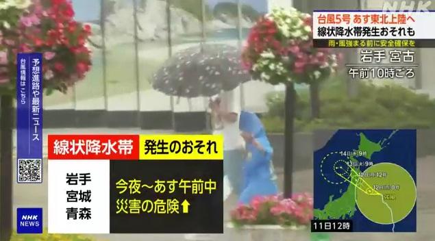岩手縣宮古市周日強風降雨。(互聯網)