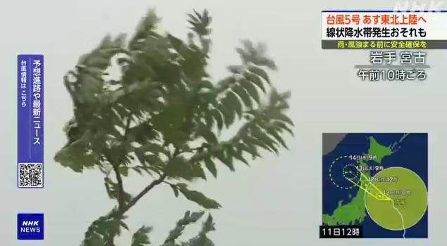 岩手縣宮古市刮強風。(互聯網)