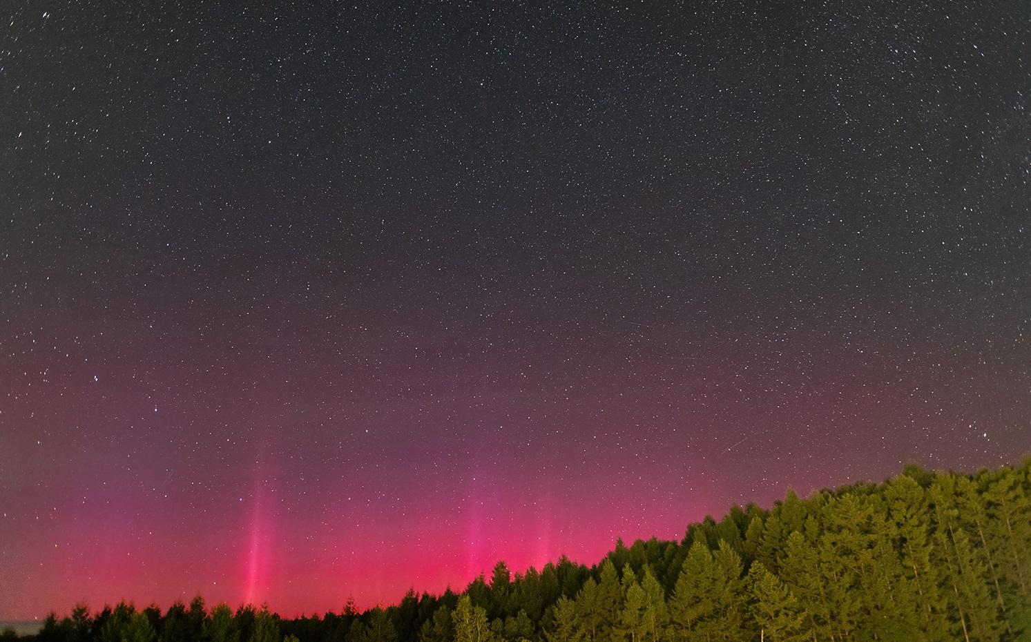 名寄市立天文台分享極光與英仙座流星雨同時出現的絕美照片。(互聯網)