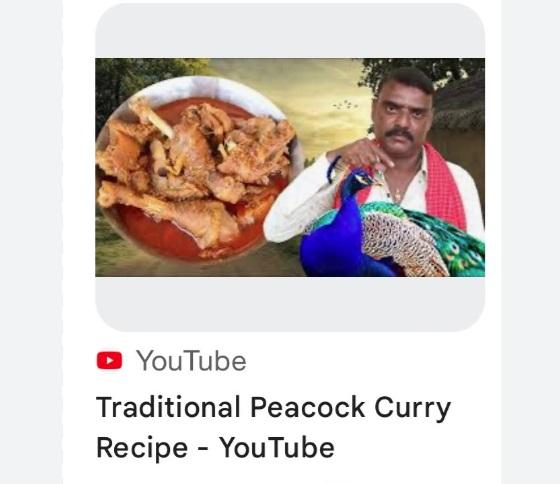 庫瑪爾在YouTube頻道發布烹煮孔雀咖喱的影片。(互聯網)