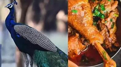 庫瑪爾在YouTube發布教人烹調孔雀咖哩的影片。(互聯網)