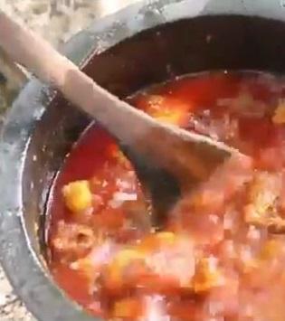 煮孔雀咖喱。(互聯網)