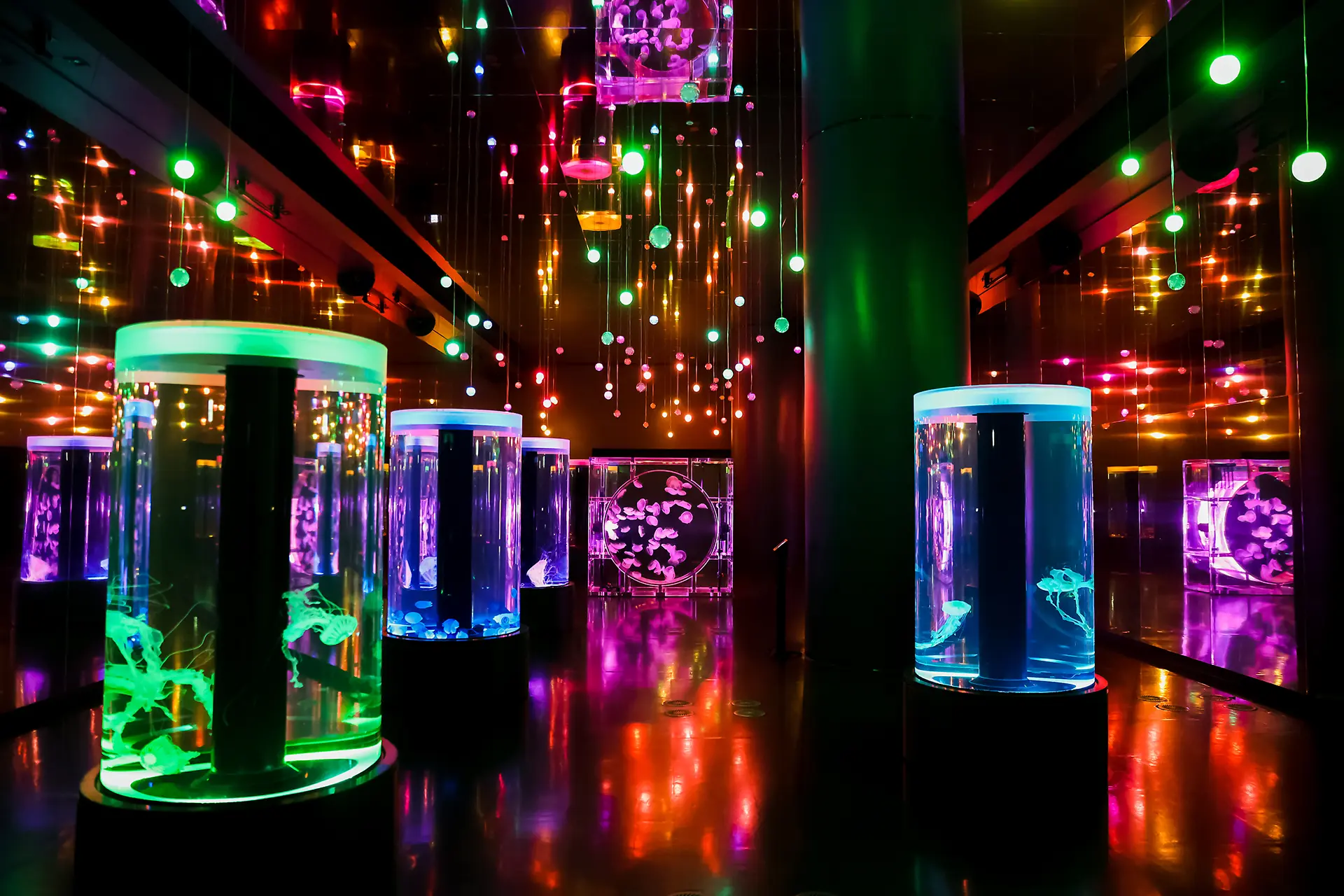 東京品川水族館Maxell Aqua Park