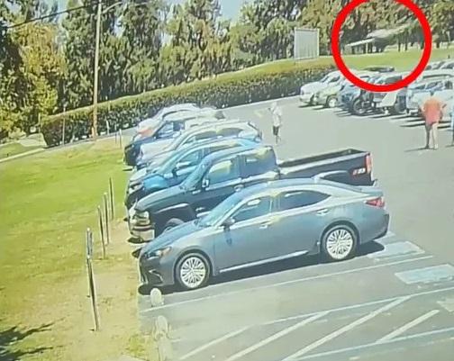 小型飛機緊急降落高爾夫球場。(互聯網)