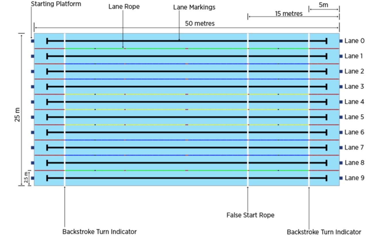 國際賽事泳池有表明需要掛上15米標示線。(網上圖片)