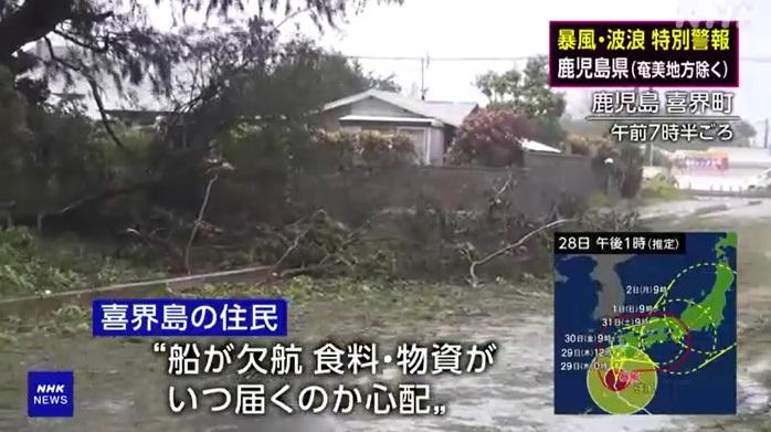 鹿兒島喜界町有樹木被吹倒。(互聯網)