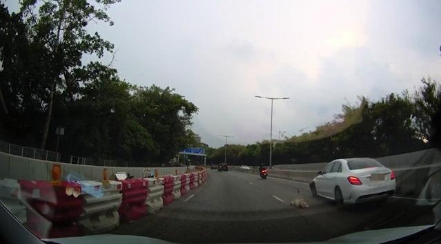 小狗被Benz撞到。(網片截圖)