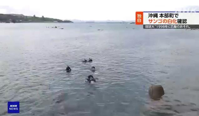 研究團隊本月在沖繩本島一帶3處海域調查。(互聯網)