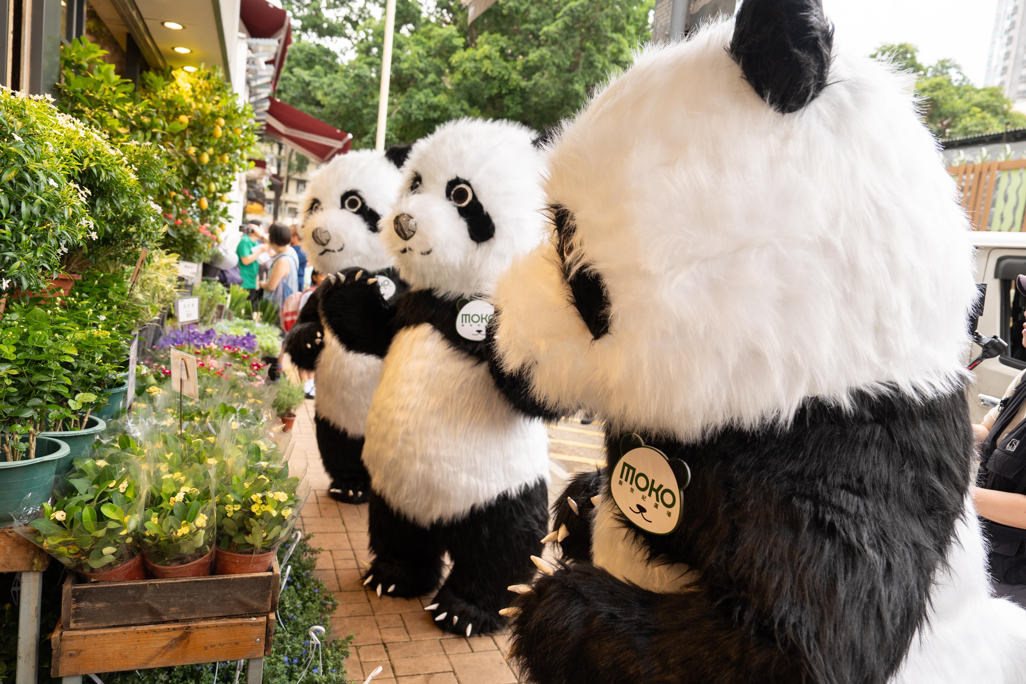 MOKO呼嚕Panda遊世界 中庭設四米長的瞓覺Mode仿真大熊貓